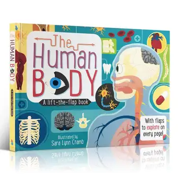 Milu Оригинальная английская книга с картинками The Human Body Encyclopedia Popular Science Board